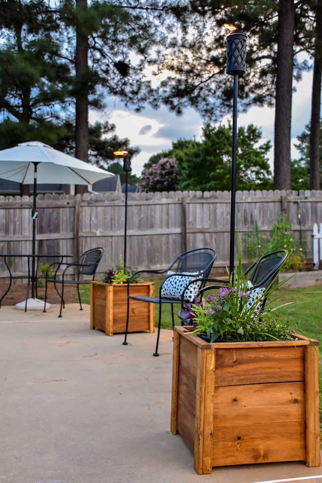 DIY Cedar Wood Planters-5