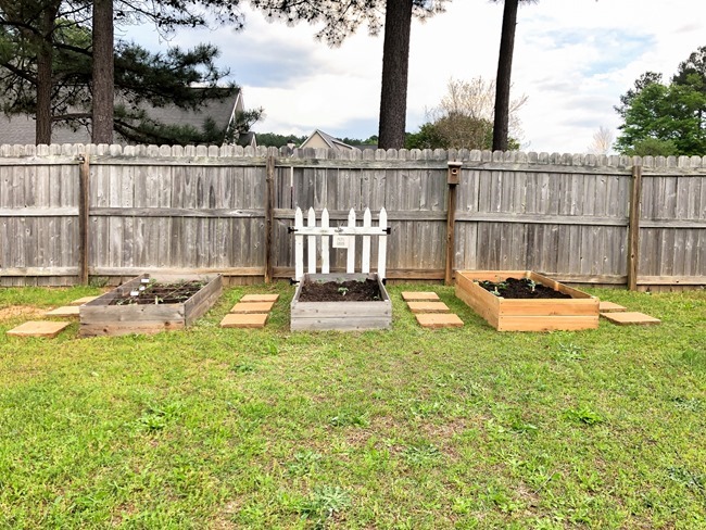 DIY Raised Garden Beds made with cedar fence pickets-8