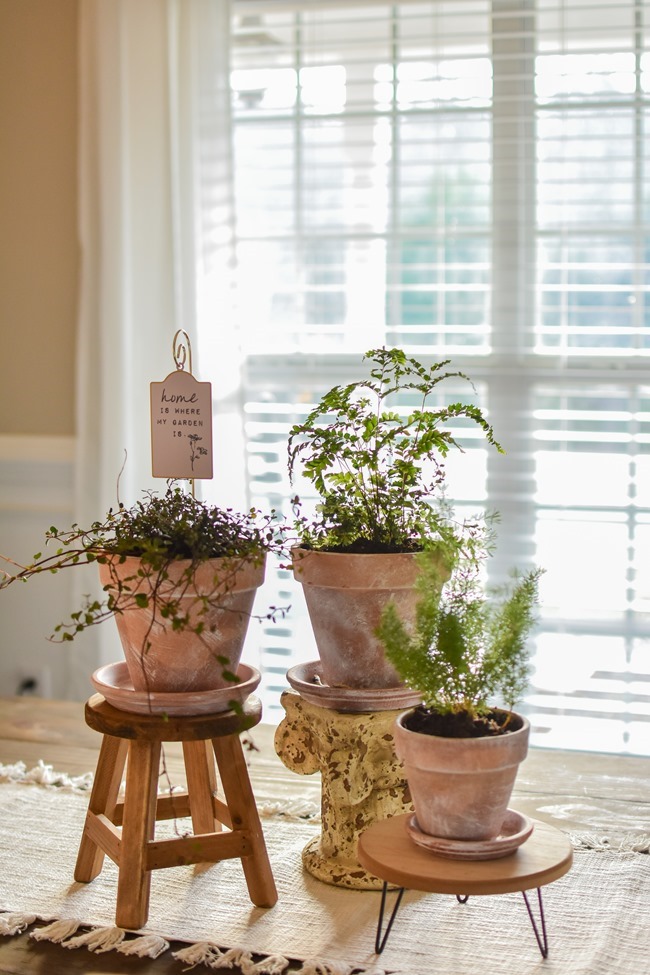 How to age Terra Cotta pots plus a simple spring centerpiece-4
