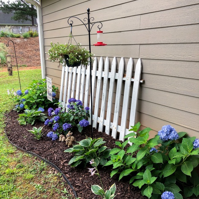 Summer Outdoor Yard and Flowers tour-26