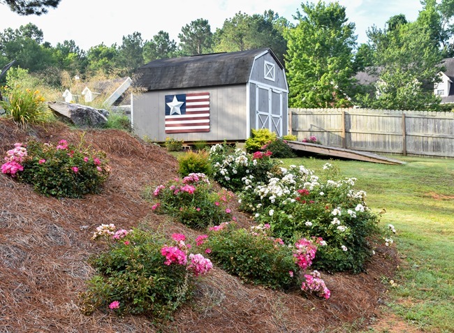 Summer Outdoor Yard and Flowers tour-37